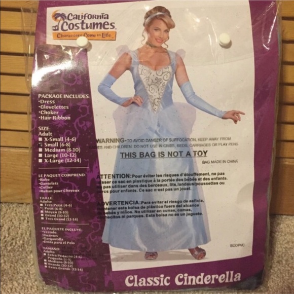 California Costumes Other - Cinderella Halloween Costume California Costumes Other - Cinderella Halloween Costume